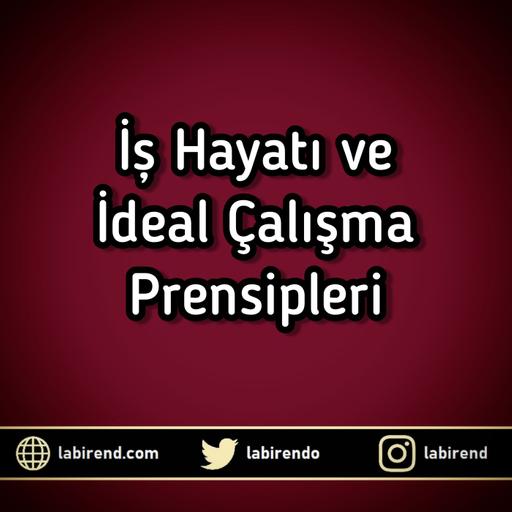 İş Hayatı ve İdeal Çalışma Prensipleri