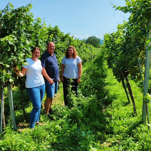 B2P043 – Weinbau und Heuriger Stoiber