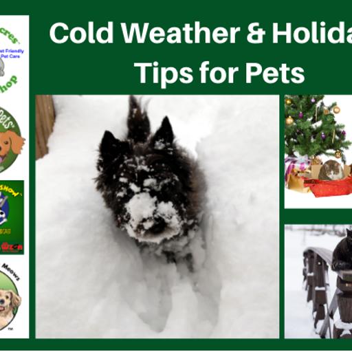 Cold Weather and Holiday Tips for Pets-2021