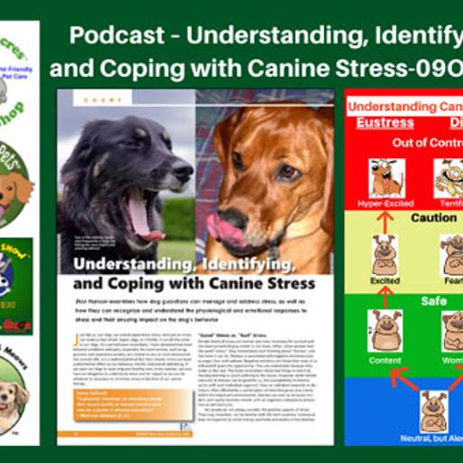 Understanding, Identifying, and Coping with Canine Stress