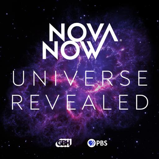 The Big Bang: started from inflation, now we’re here