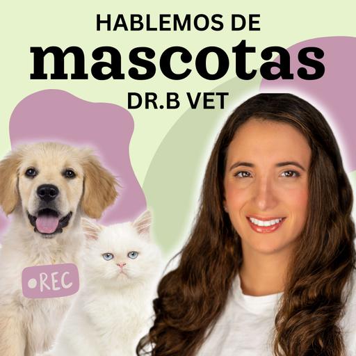 Mascotas con Cáncer