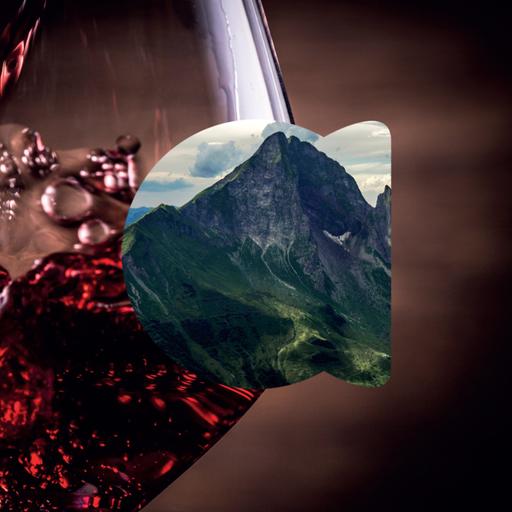 Secrets of the Silk Road: The Future of Winemaking in Azerbaijan