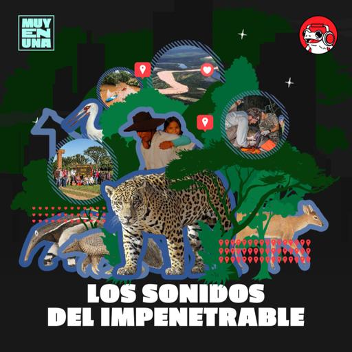 Los sonidos del Impenetrable