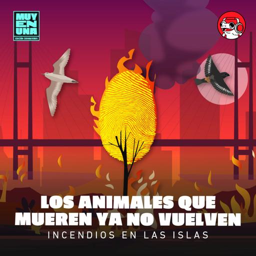 Incendios en las islas 2: los animales que mueren ya no vuelven