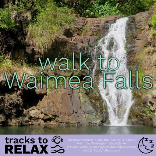 Water Fall Hawaii - Bedtime Sleep Meditation