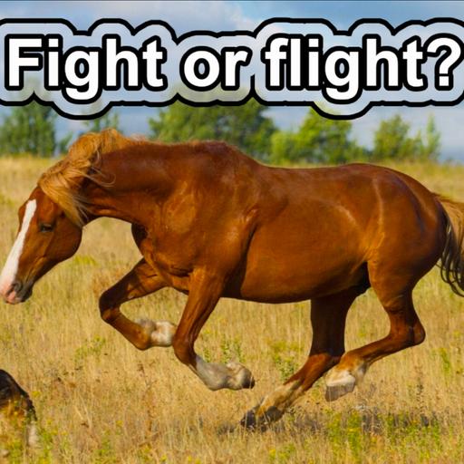 10 Cool Facts about Horses