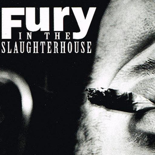 Radio Orchid – Fury In The Slaughterhouse