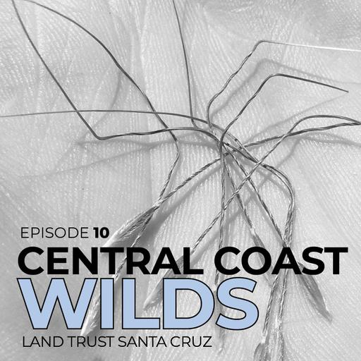 Learning the Land Episode 10 - Central Coast Wilds