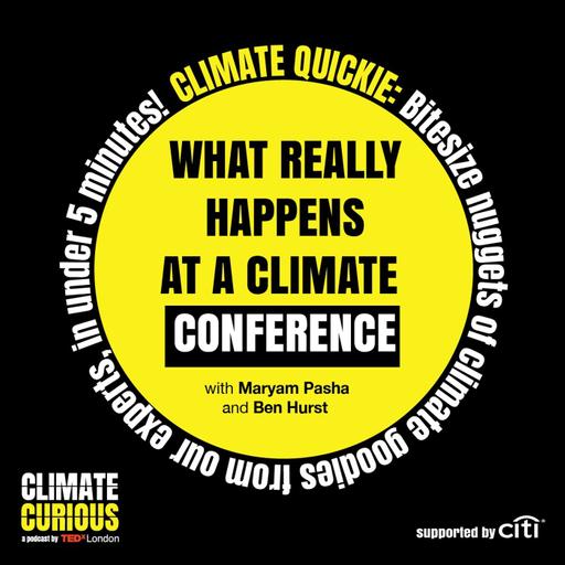 What really happens at a climate conference?