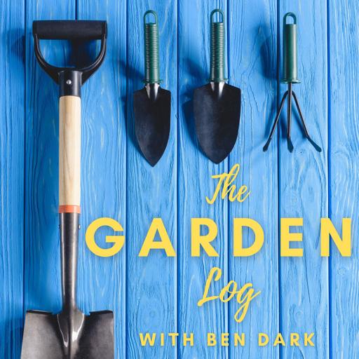 #95 Rose pruning with King Midas: A gardening podcast