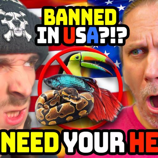 The Death Of The Pet Trade!!! - Checking In Podcast (Ep. #88)
