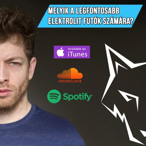 Melyik a legfontosabb elektrolit futók számára?