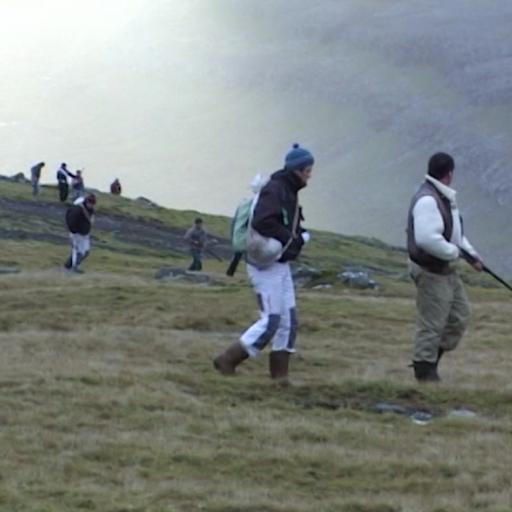 Úr savninum: Haruveiða í felag