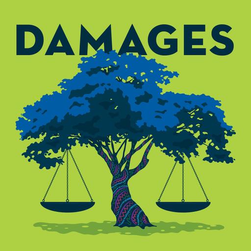 A Brief History of Rights of Nature in the U.S.