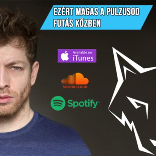 Ezért magas a pulzusod futás közben! - Így tudod csökkenteni