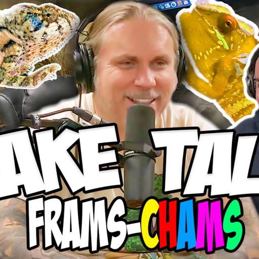 They Have HOW MANY Chameleons?! - FRAMSCHAMS (Brian Barczyk - Snake Talk!)