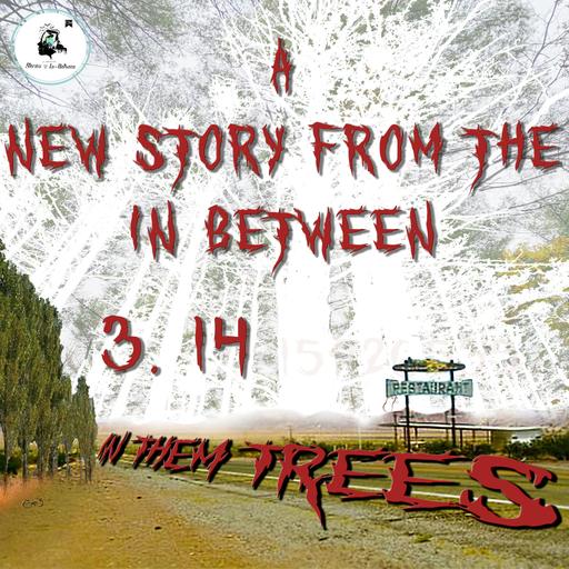 60 // In Them Trees 3.14 Special