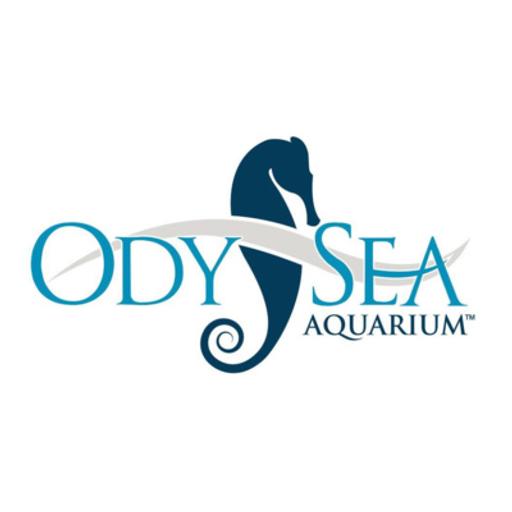 Episode 53 - OdySea Aquarium