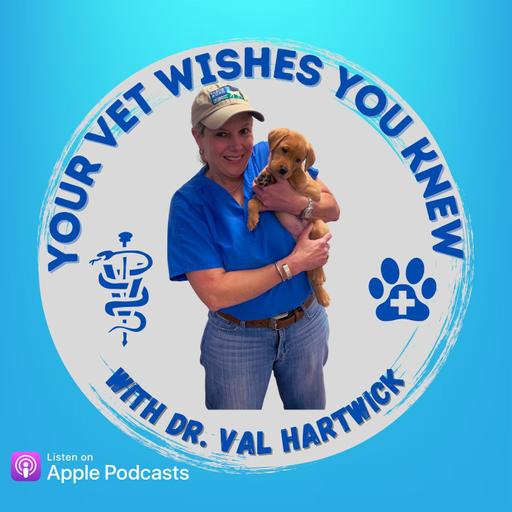 Ep 11: Dog Food