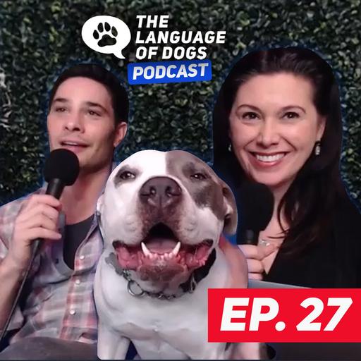 EP. 027 - "6 WORDS ALL DOGS NEED TO KNOW PART 2" W/ Justin Silver