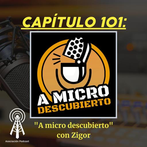 Capítulo 101: "A micro descubierto" con Zigor