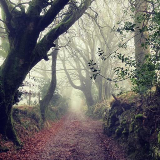 Episode 2: The Maverick Arthouse Filmmaker Of The Moor