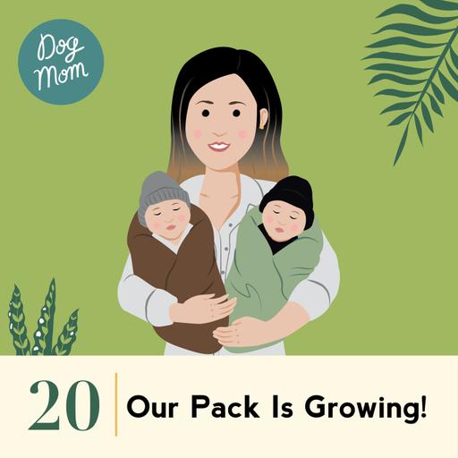Ep #20 - Our Pack is Growing!