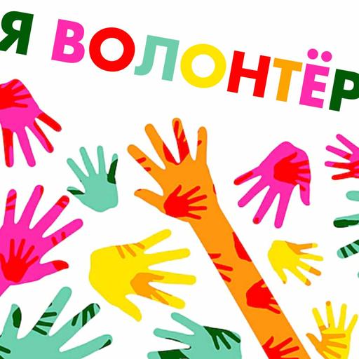 Я ВОЛОНТЁР Лиза Семёнова (Нижний Новгород)