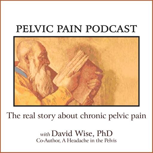 Understanding Chronic Vigilance as the Cause of Chronic Pelvic Pain