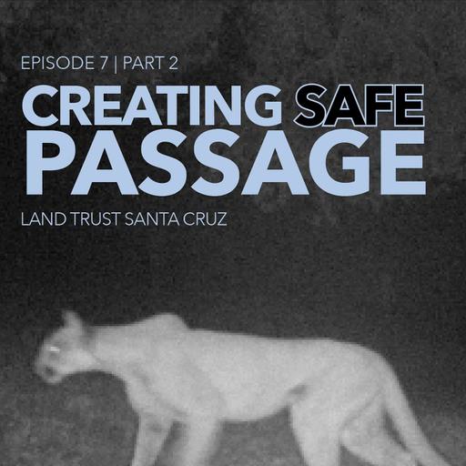 Learning the Land Episode 7 - Creating Safe Passage Part 2