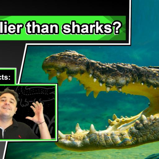 Saltwater Crocodile Facts | 10 Animal Facts about Saltwater Crocodiles