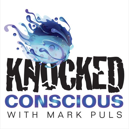 Knocked Conscious: A second conversation with Howard Bloom