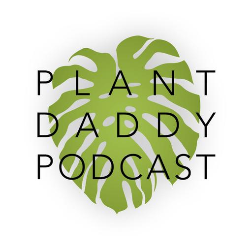 Episode 136: Welwitschia and the "Weird Houseplant" Experience