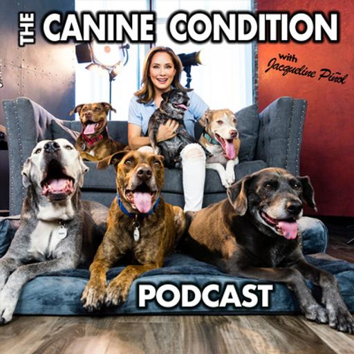 45. Shelter Dogs Do Rock