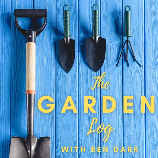 #100 Perfect mistakes, rhubarb, rollercoasters, tulips and timeslips: A gardening podcast
