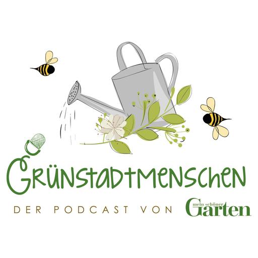 #58 Grün, gesund, genussvoll: Alles rund um die Zucchini