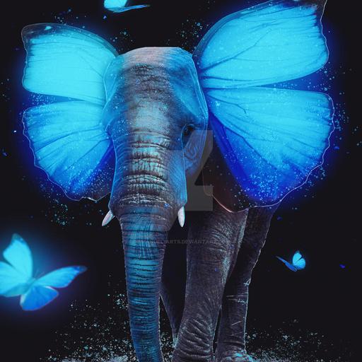 Empath story of the Elephant and Fly