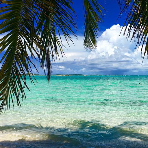 The Bahama Bash 2022