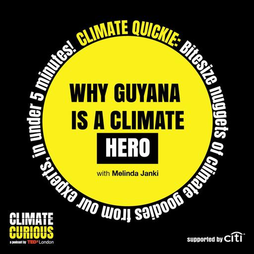 Climate Quickie: Why Guyana is a climate hero