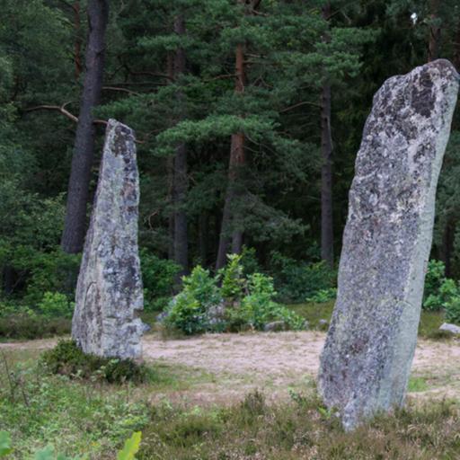 RUNES