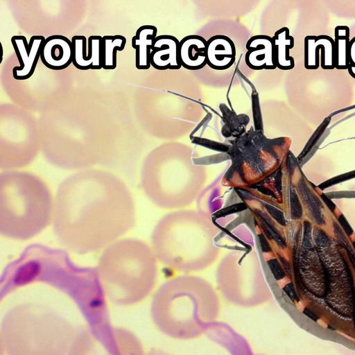 5 Gross Kissing Bug Facts