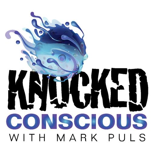 Knocked Conscious: A conversation with Susan Nicholas