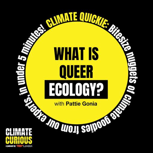 Pride Climate Quickie: What is queer ecology?