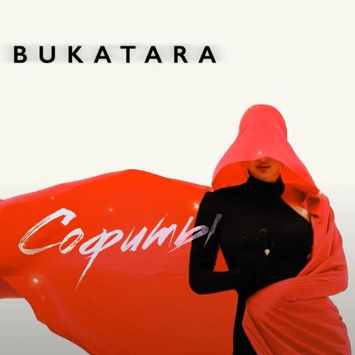 Bukatara - Софиты (TIMSOUND RetroWave Remix)