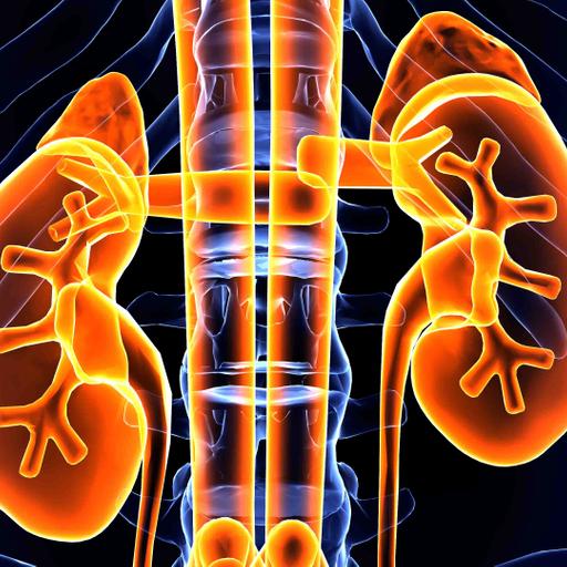 386. Benign Renal Masses