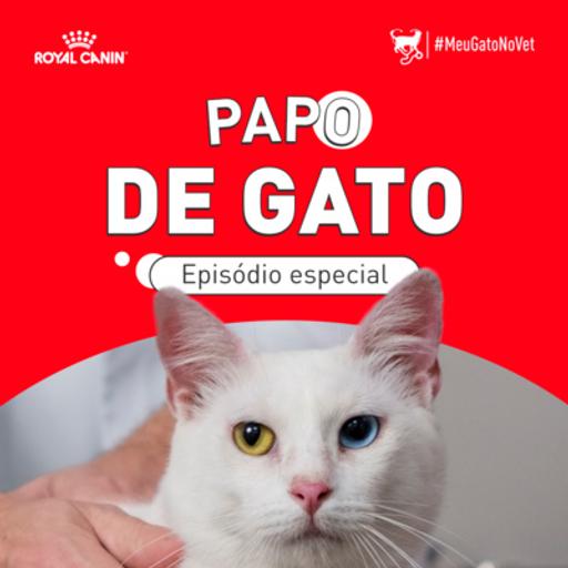 Quem cuida da saúde do meu gato?