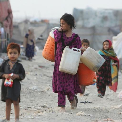 #37 - Che cos'è l'ecorazzismo