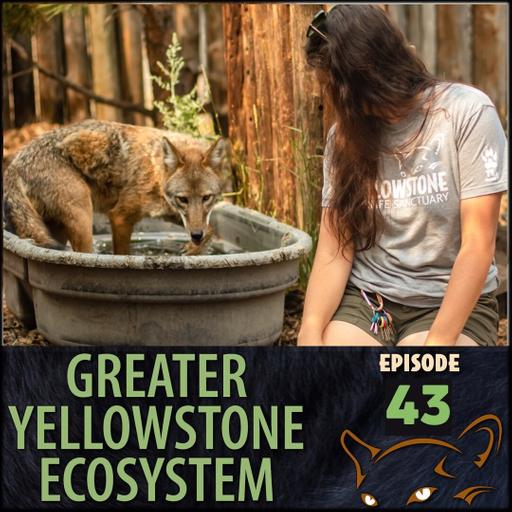 Episode 43: Animal Jobs