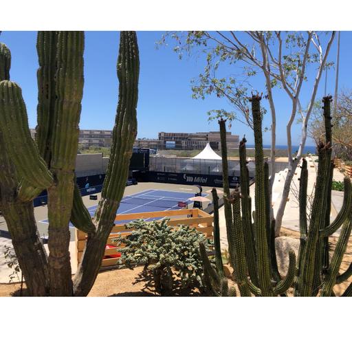 Los Cabos and Barry Buss Interview